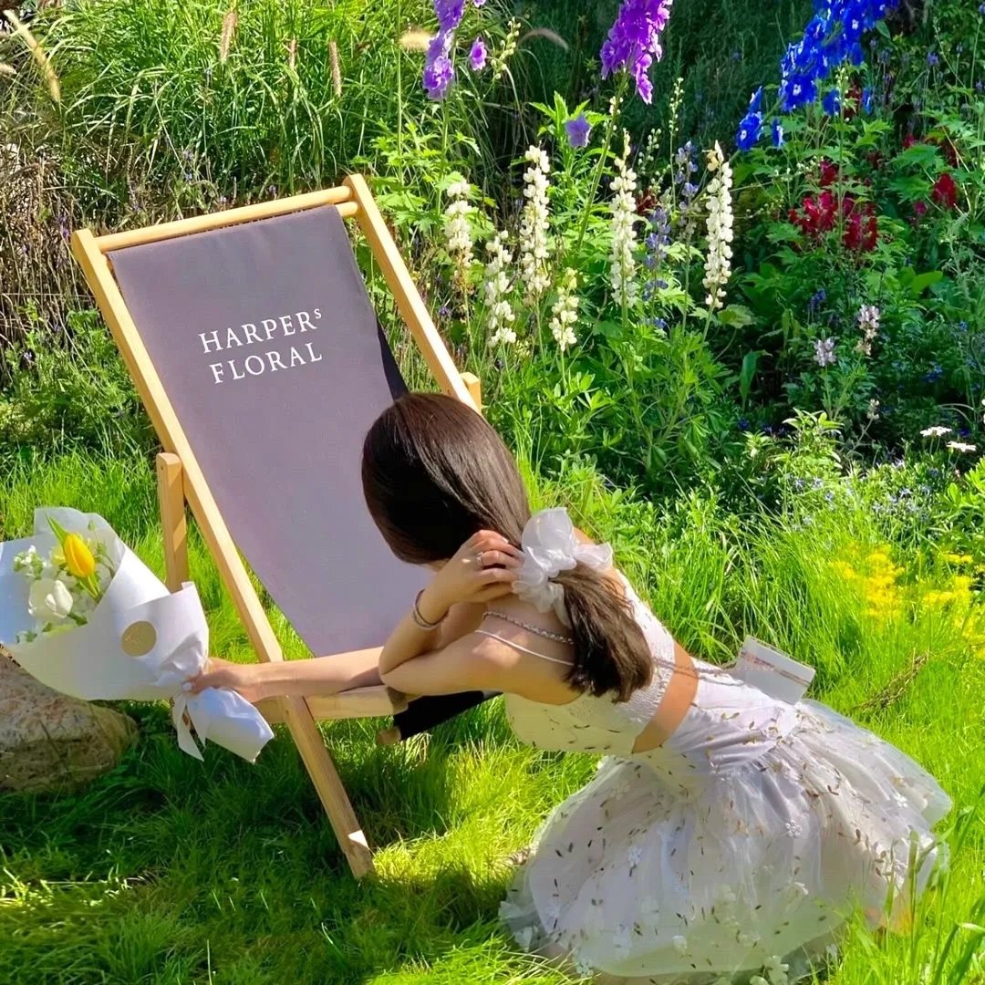 夫人居然不作妖了